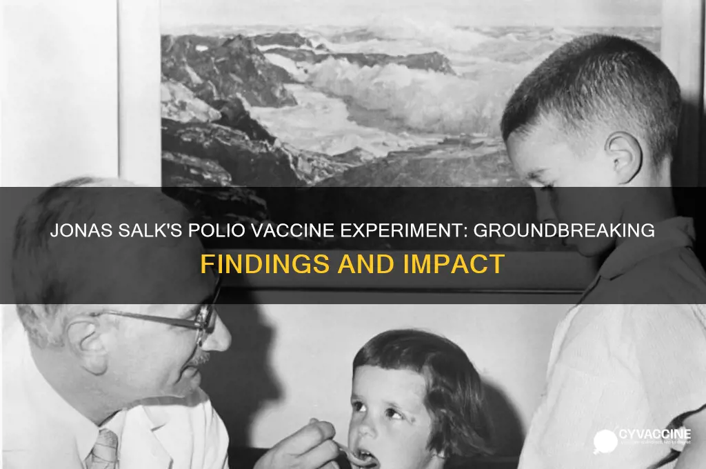 what did jonas salk