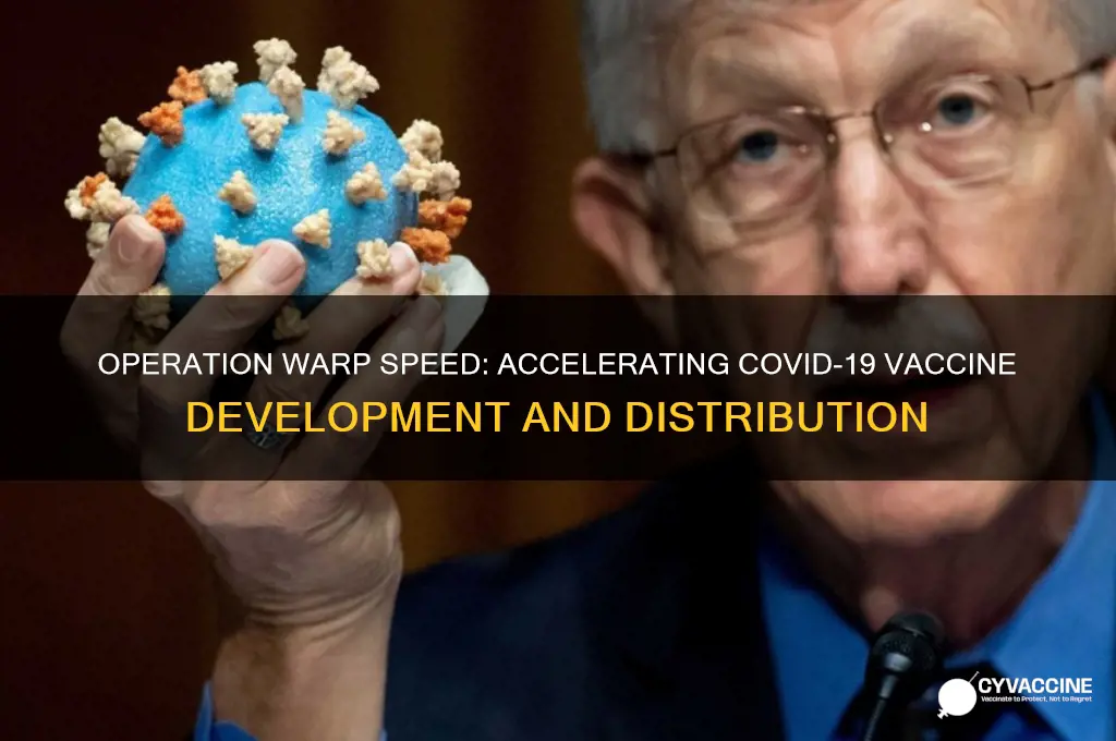 what did operation warp speed do for the vaccine
