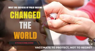Polio Vaccine Triumph: Transforming Global Health and Eradicating a Crippling Disease