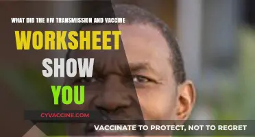 HIV Transmission Insights: Vaccine Worksheet Reveals Key Findings and Lessons
