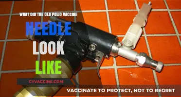 Unveiling the Vintage Polio Vaccine Needle: A Historical Look
