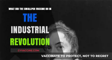 Smallpox Vaccine's Impact on Industrial Revolution: Health, Labor, and Progress