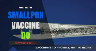 How the Smallpox Vaccine Eradicated a Deadly Global Disease