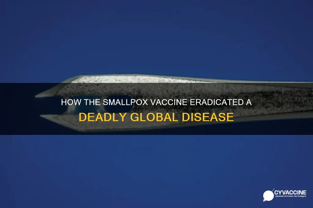 what did the smallpox vaccine do