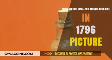 Unveiling the 1796 Smallpox Vaccine: A Historical Visual Journey