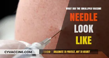 Unveiling the Smallpox Vaccine Needle: A Historical Look at Its Design