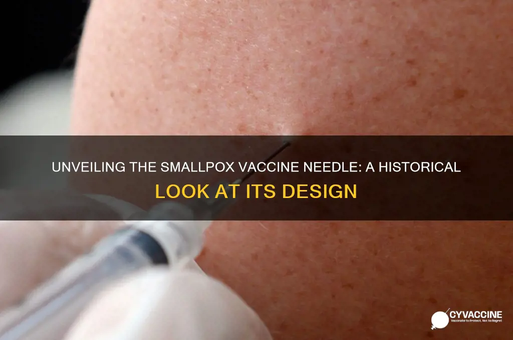 what did the smallpox vaccine needle look like