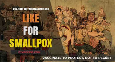 The Evolution and Impact of Smallpox Vaccination: A Historical Overview