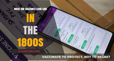 Early Vaccines: A Look at 19th-Century Immunization Methods and Tools