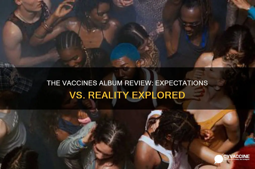 what did you expect from the vaccines album review