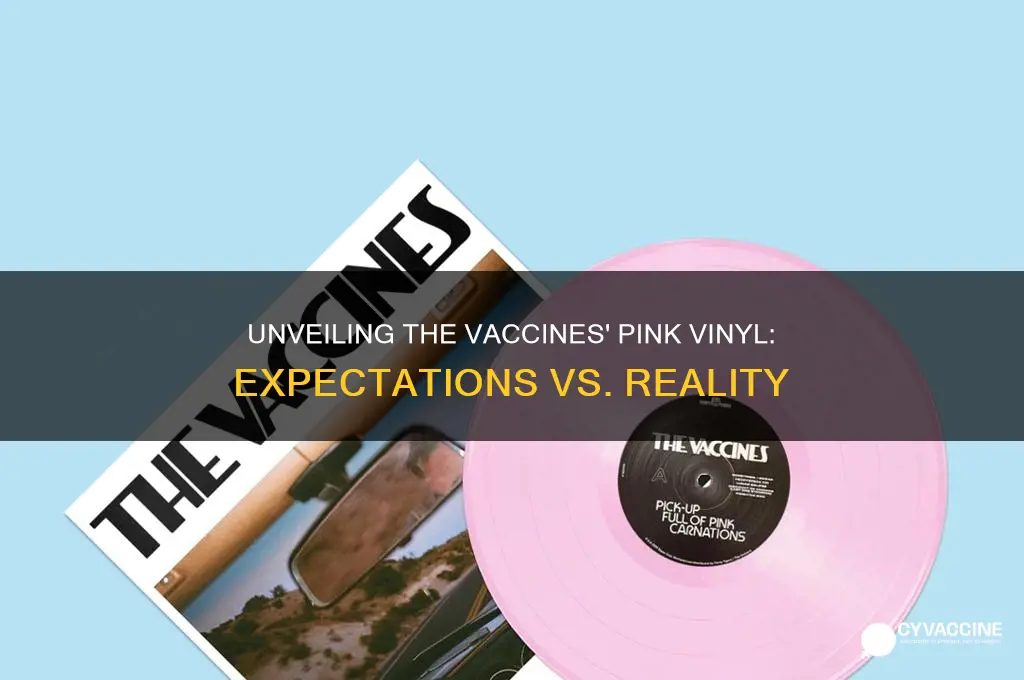 what did you expect from the vaccines pink vinyl