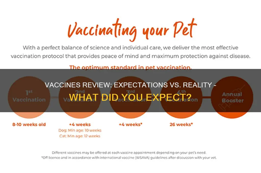 what did you expect from the vaccines review