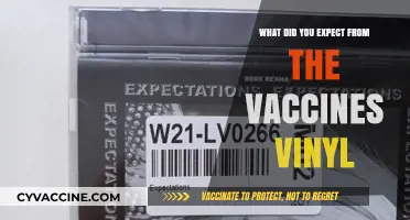 Vaccines Vinyl: Expectations vs. Reality – A Fan's Perspective