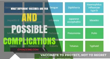Understanding Vaccines: Purposes, Types, and Potential Side Effects Explained