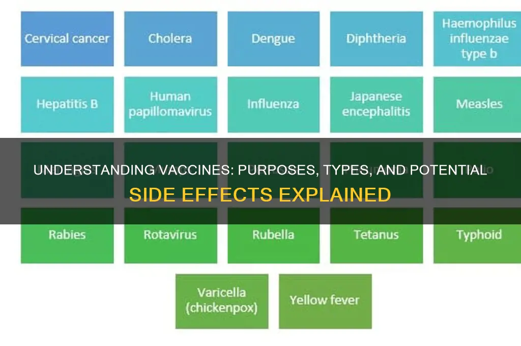what different vaccines are for and possible complications