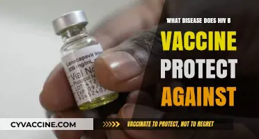 HIV-B Vaccine: Shielding Against AIDS and Related Complications