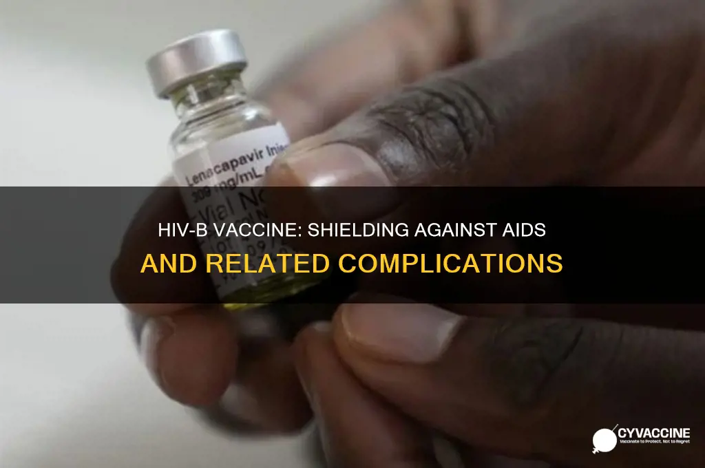 what disease does hiv b vaccine protect against