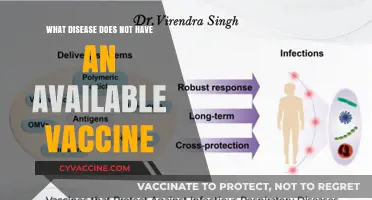 Unprotected: Diseases Still Lacking Available Vaccines for Prevention
