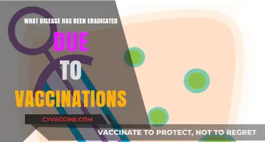 Vaccination Victories: Diseases Eradicated by Global Immunization Efforts
