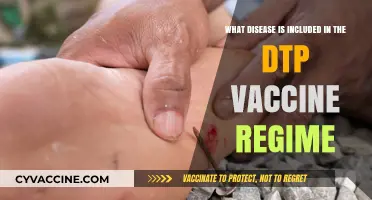 DTP Vaccine: Diseases Covered and Their Prevention Explained