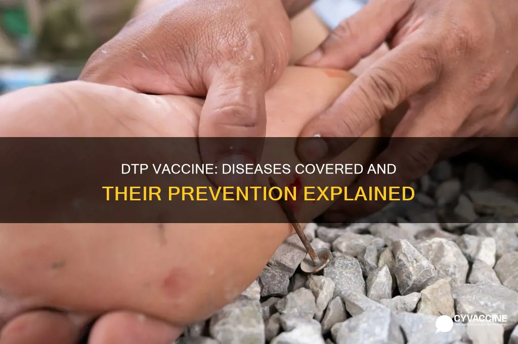 what disease is included in the dtp vaccine regime