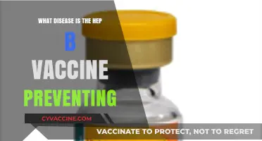 Hepatitis B Vaccine: Shielding Against a Silent Liver Disease