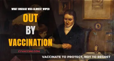 Vaccination Triumph: The Near Eradication of Smallpox Explained