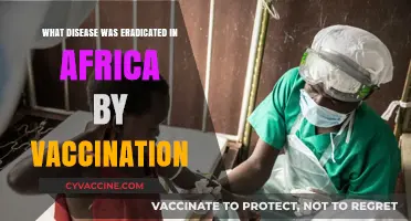 Africa's Triumph: Eradicating Smallpox Through Successful Vaccination Campaigns