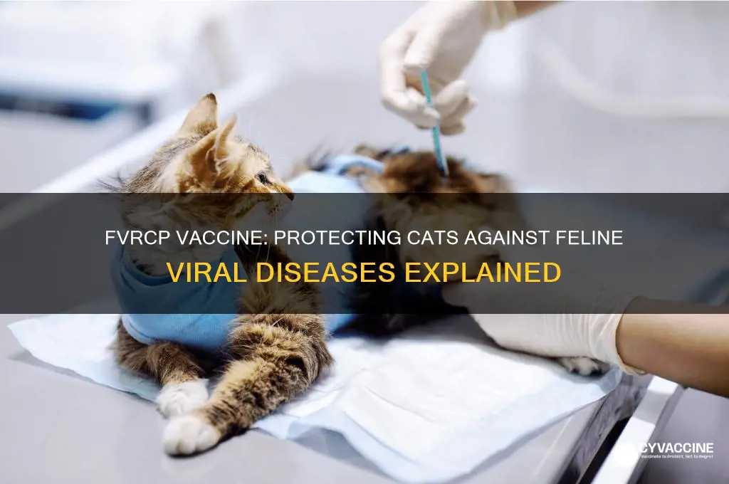 what diseases are we vaccinating for with fvrcp