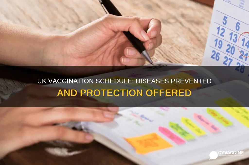 what diseases are we vaccines against in the uk