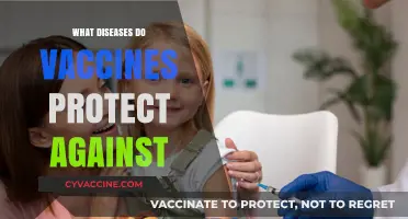 Vaccines: Essential Shield Against Deadly Diseases and Infections Explained