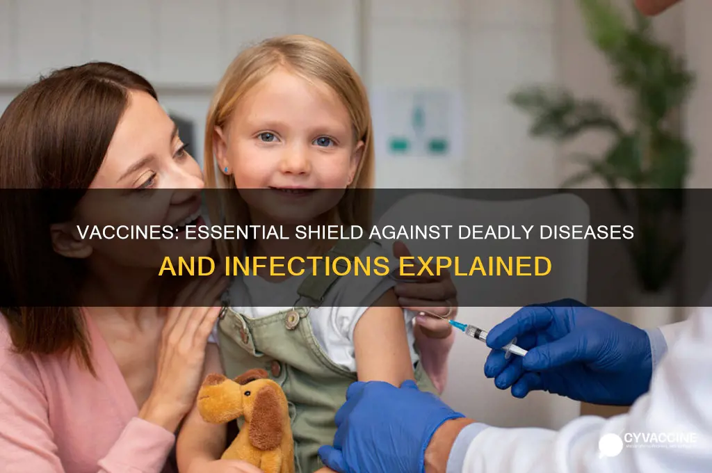 what diseases do vaccines protect against