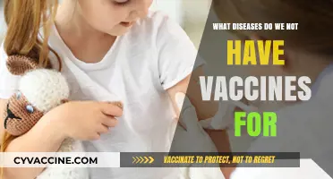 Unvaccinated Threats: Diseases Still Lacking Preventive Vaccines Today