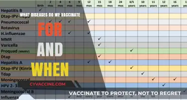 Vaccination Schedule: Diseases, Timelines, and Essential Immunizations Explained