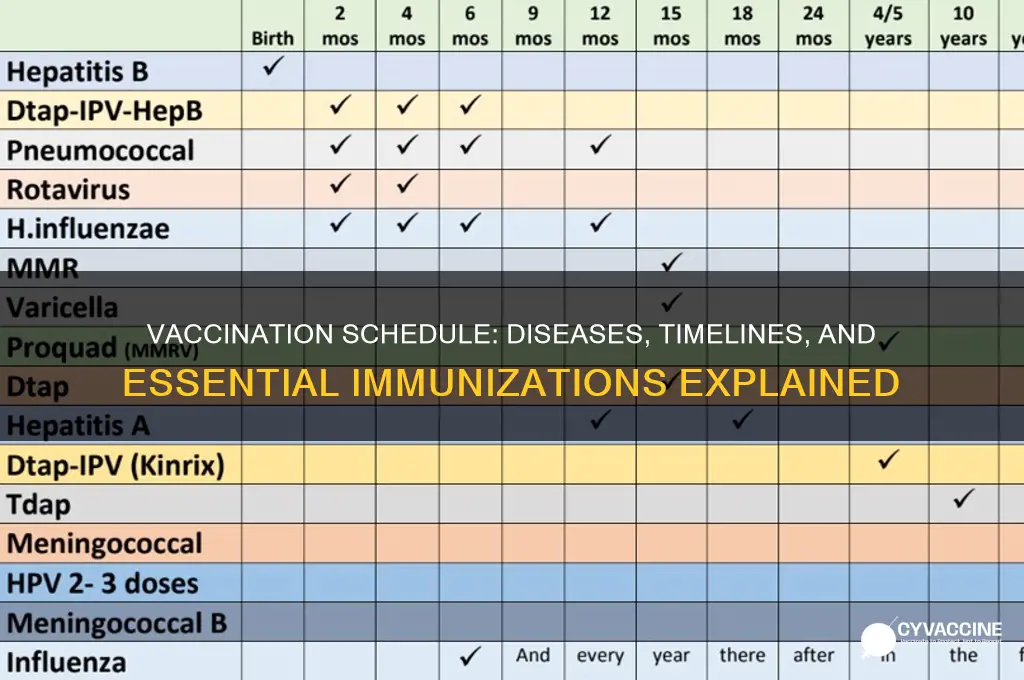 what diseases do we vaccinate for and when