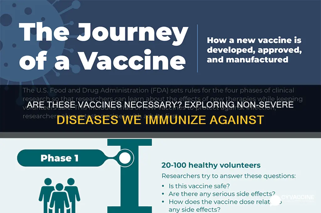 what diseases do we vaccinate for that are not serious