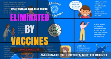 Vaccine Triumphs: Diseases Nearly Eradicated Thanks to Immunization