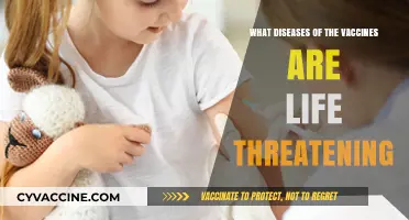 Life-Threatening Diseases Prevented by Vaccines: A Critical Overview