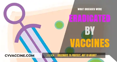 Vaccines' Triumph: Eradicating Deadly Diseases and Saving Lives Globally