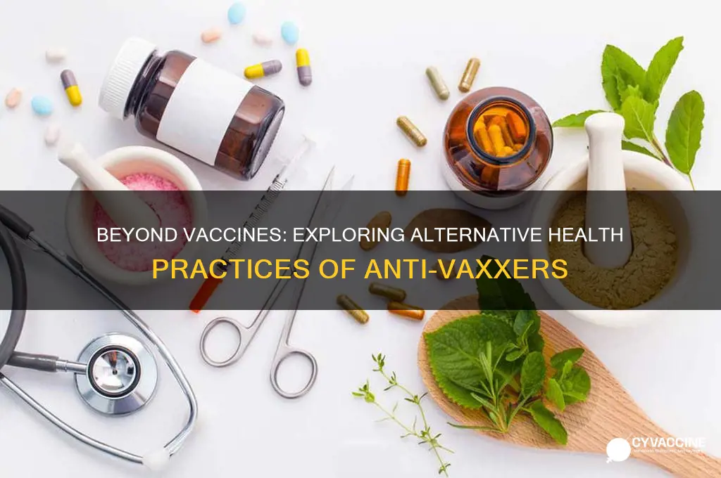 what do anti vaxxers do instead of vaccination