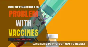 Unraveling Anti-Vaxxer Beliefs: Their Perceived Issues with Vaccines Explained