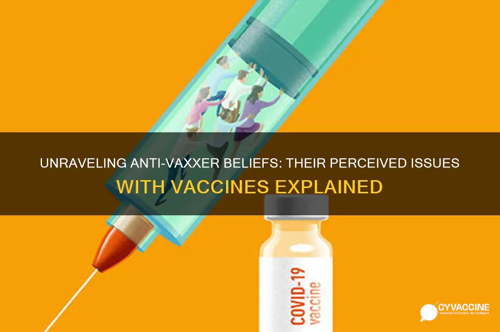 what do anti vaxxers think is the problem with vaccines