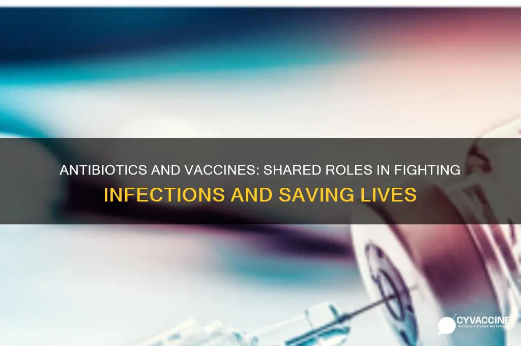 what do antibiotics and vaccines have in common
