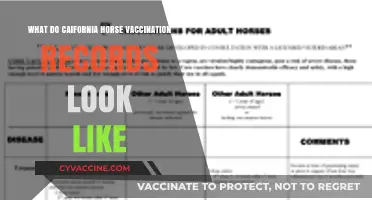 California Horse Vaccination Records: Format, Requirements, and Essential Details