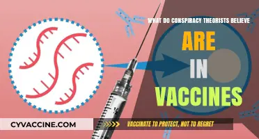 Unveiling Conspiracy Theories: What Do They Claim Vaccines Contain?