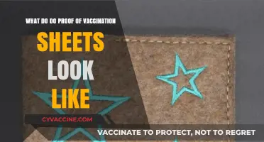 Proof of Vaccination Sheets: Design, Details, and What to Expect