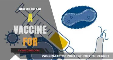 Unvaccinated Threats: Diseases Still Lacking Effective Vaccine Solutions