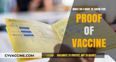 Essential Vaccine Proof Documents: What You Need to Carry