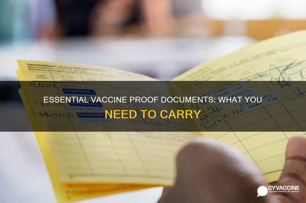 what do i have to show for proof of vaccine