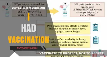 Post-Vaccination Essentials: What to Watch for After Your COVID-19 Shot